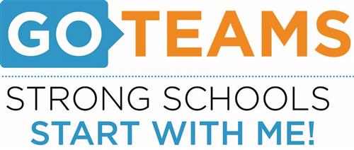 GO Team Logo 