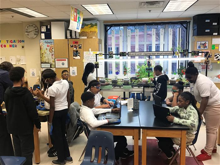 Primary STEM Lab