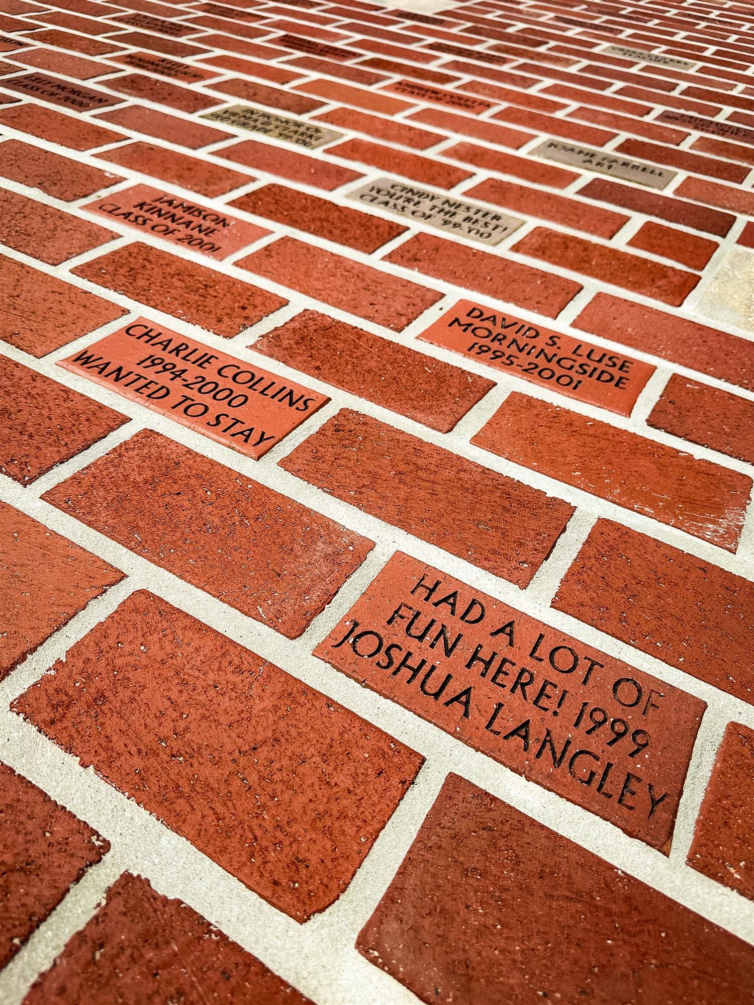 Photo of the standard size bricks in the MES garden walkways.