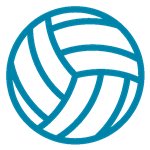Volley Ball Icon 