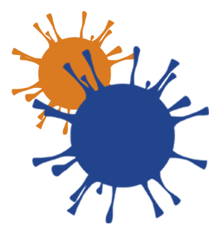 Corona Virus Graphic Corona Virus Graphic