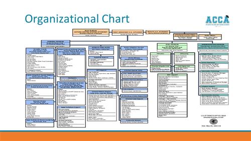 Organizational Chart