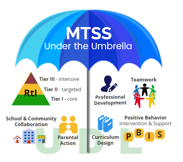MTSS Responsibilities