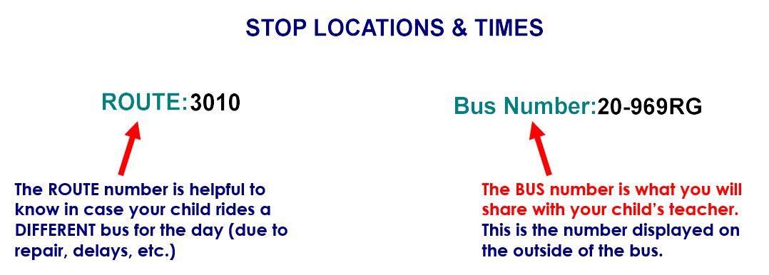 Bus Routes