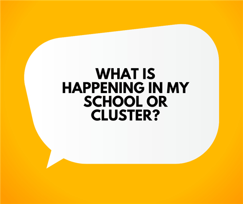 What is happening in my school or cluster?