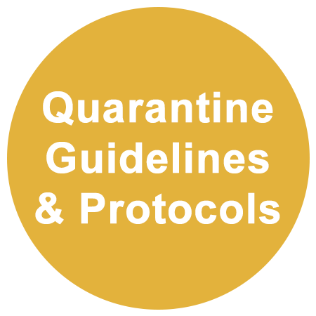  quarantine guidelines and protocols