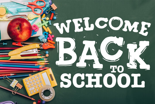  Welcome Back