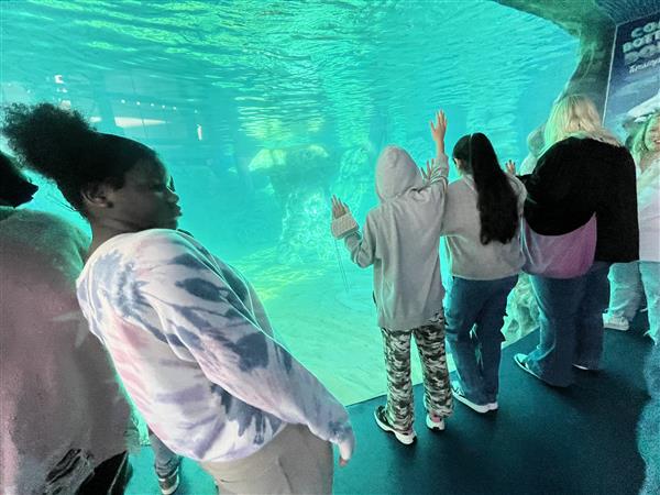 6th grade at the aquarium