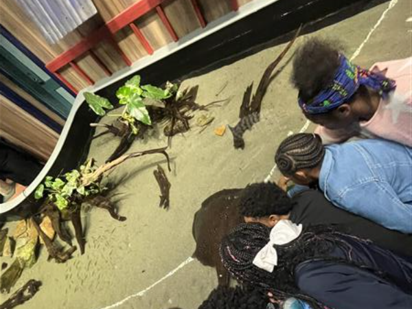 6th grade at the aquarium