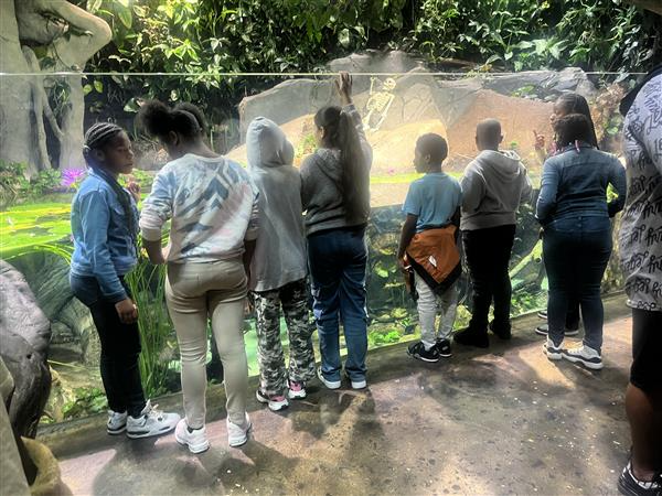 6th grade at the aquarium