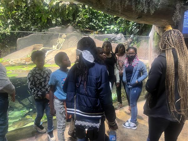 6th grade at the aquarium