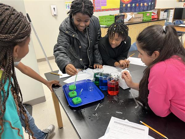 6th grade in the lab