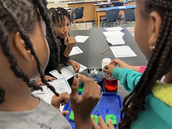 6th grade in the lab